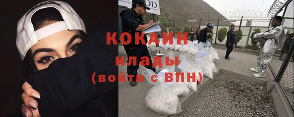 гидра Надым